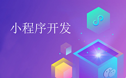 小程序开发定制，相比非定制有何优势