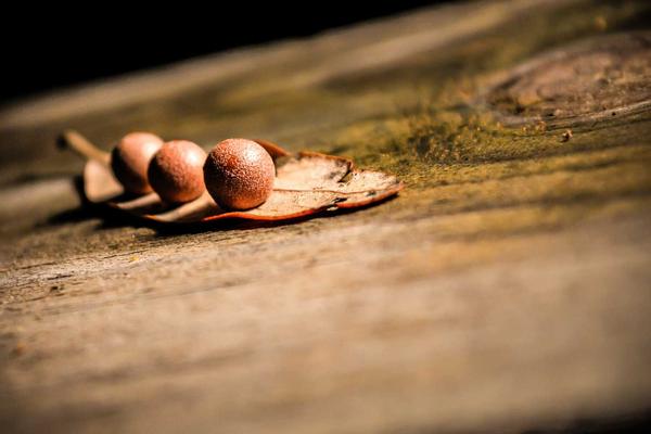 郑州APP外包公司