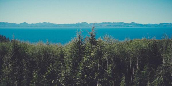 郑州app定制公司