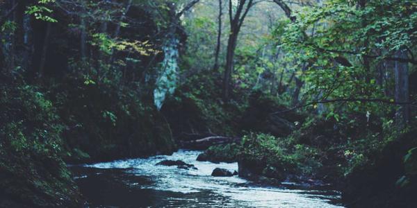 郑州app开发公司,郑州APP定制公司